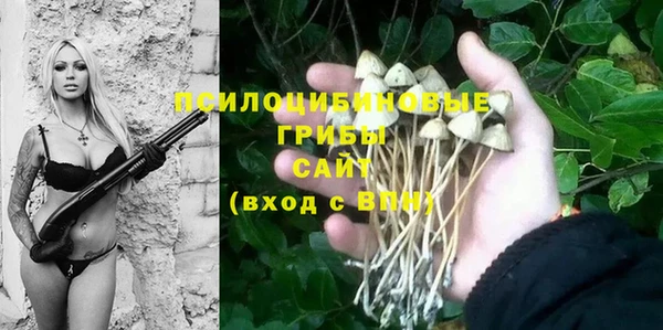 первитин Володарск