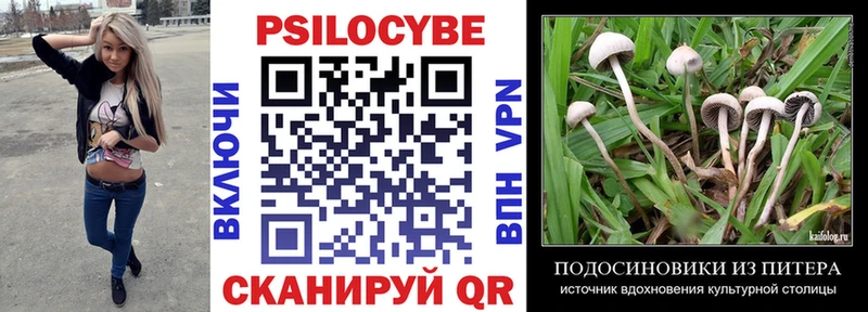 Галлюциногенные грибы Magic Shrooms  Домодедово 